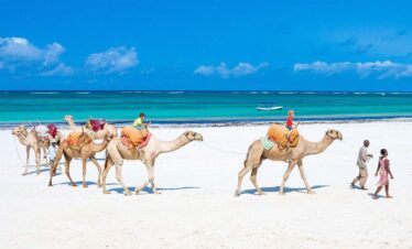 Diani Kenya Jador Travels 10