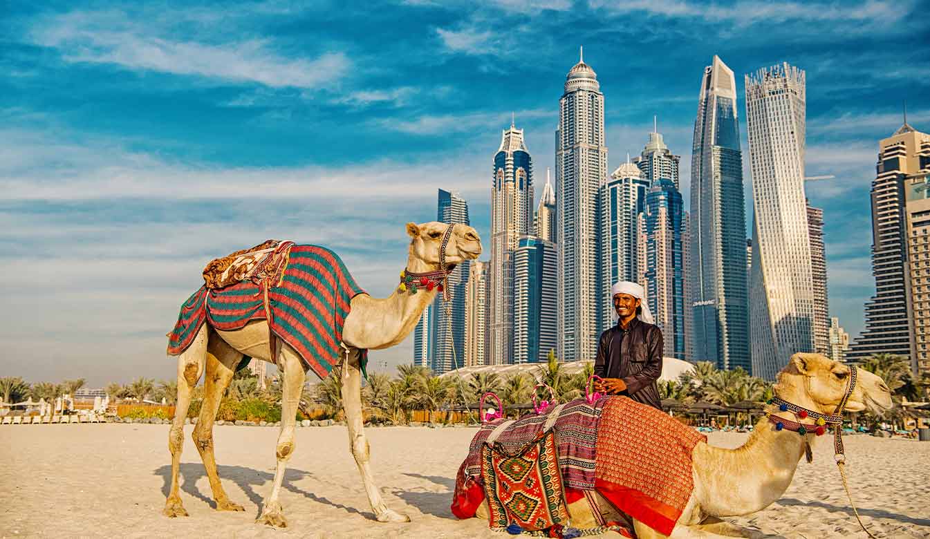 Dubai Jador trips 3