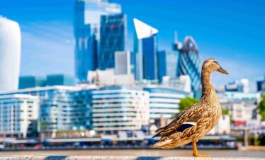 Dubai Summer Travel Package 2