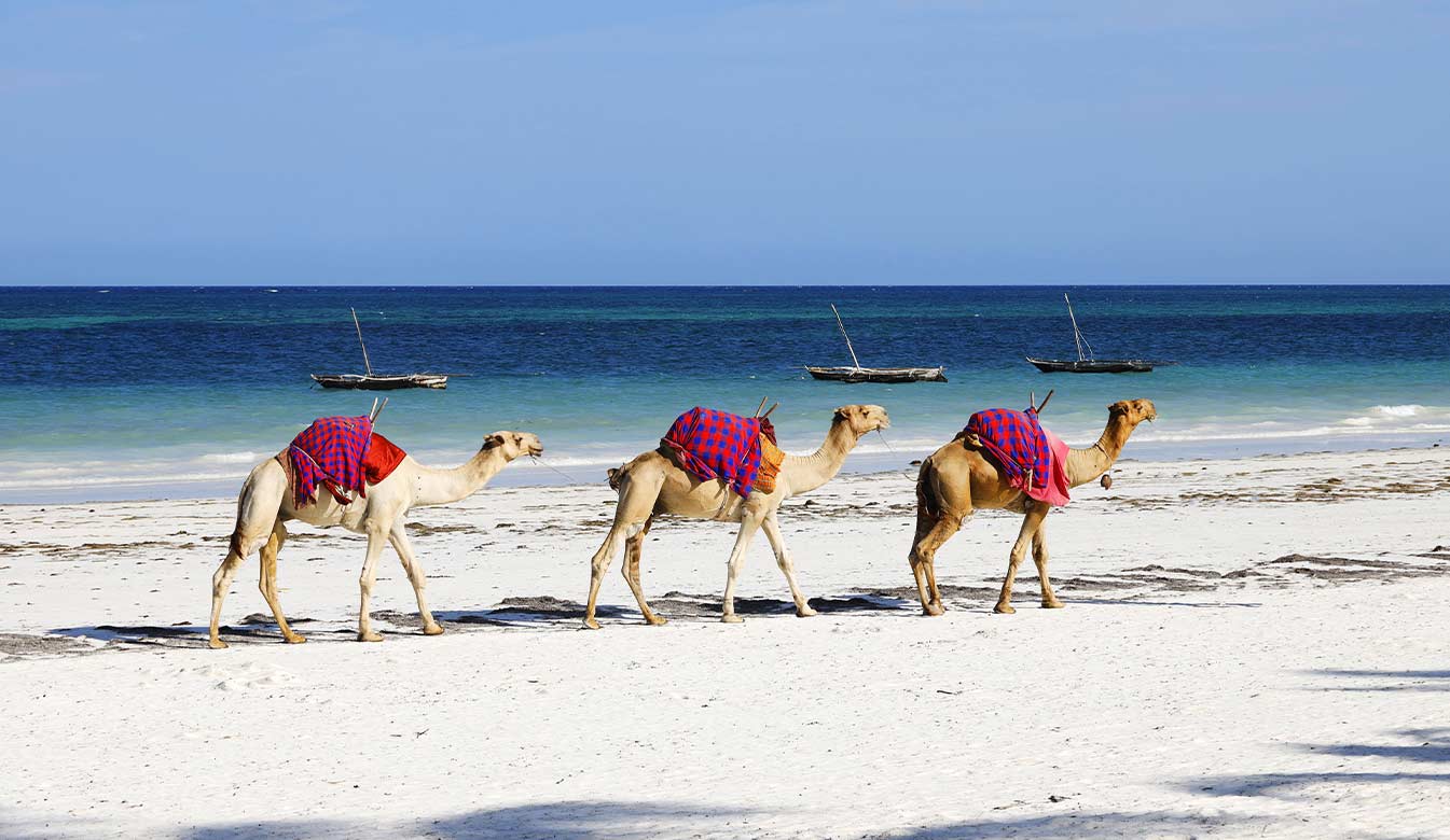 Lamu Jador Travel 4
