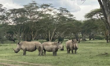 Ole Samara Jador Travel 4